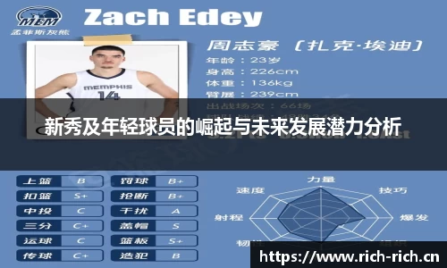 28圈体育